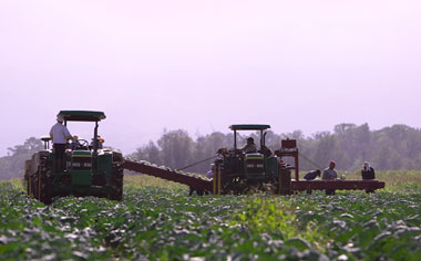 Picture of machines plowing agriculture fields 