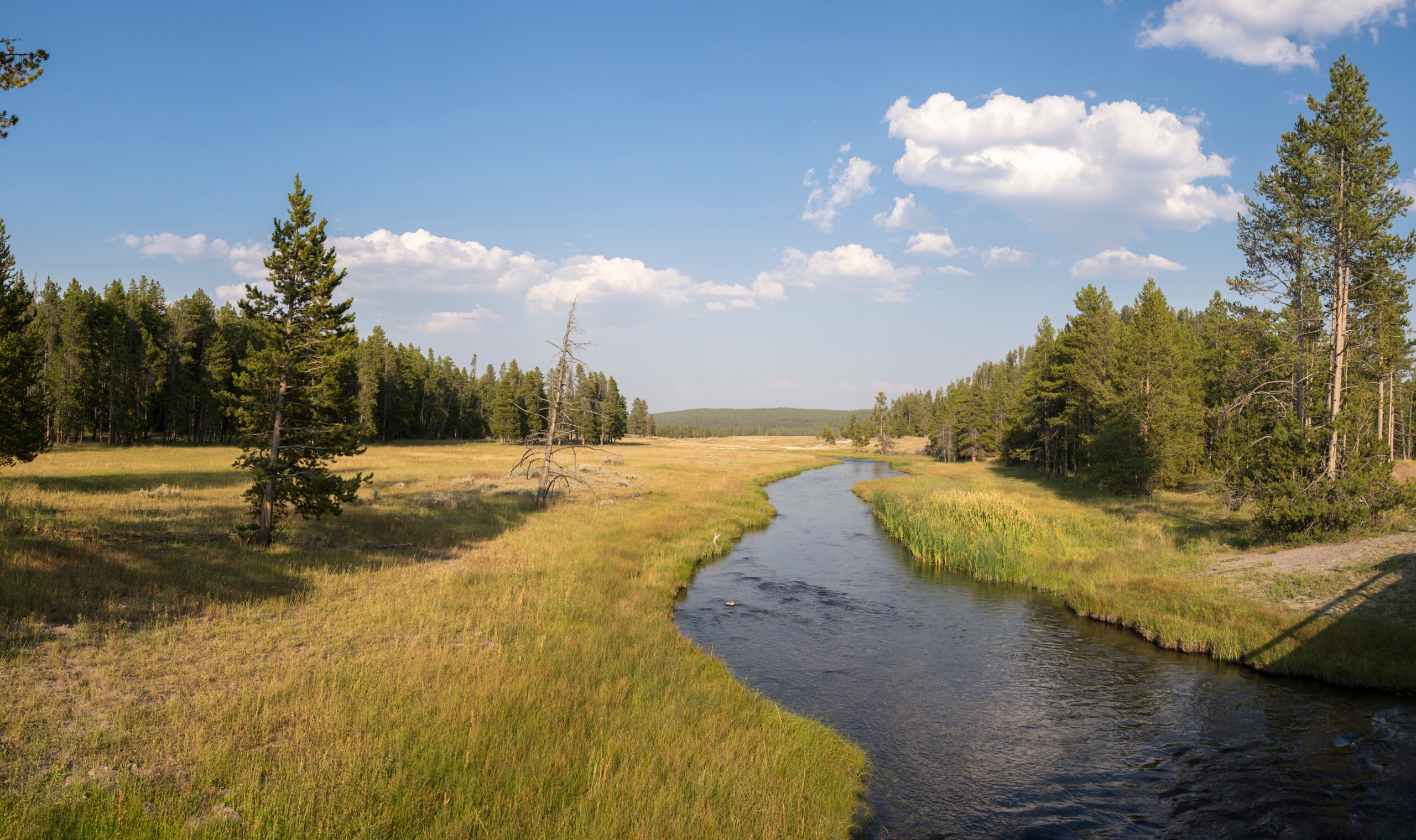 Green Infrastructure: Cost-effective solutions to flooding