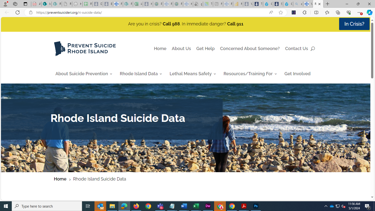 Suicide Data 