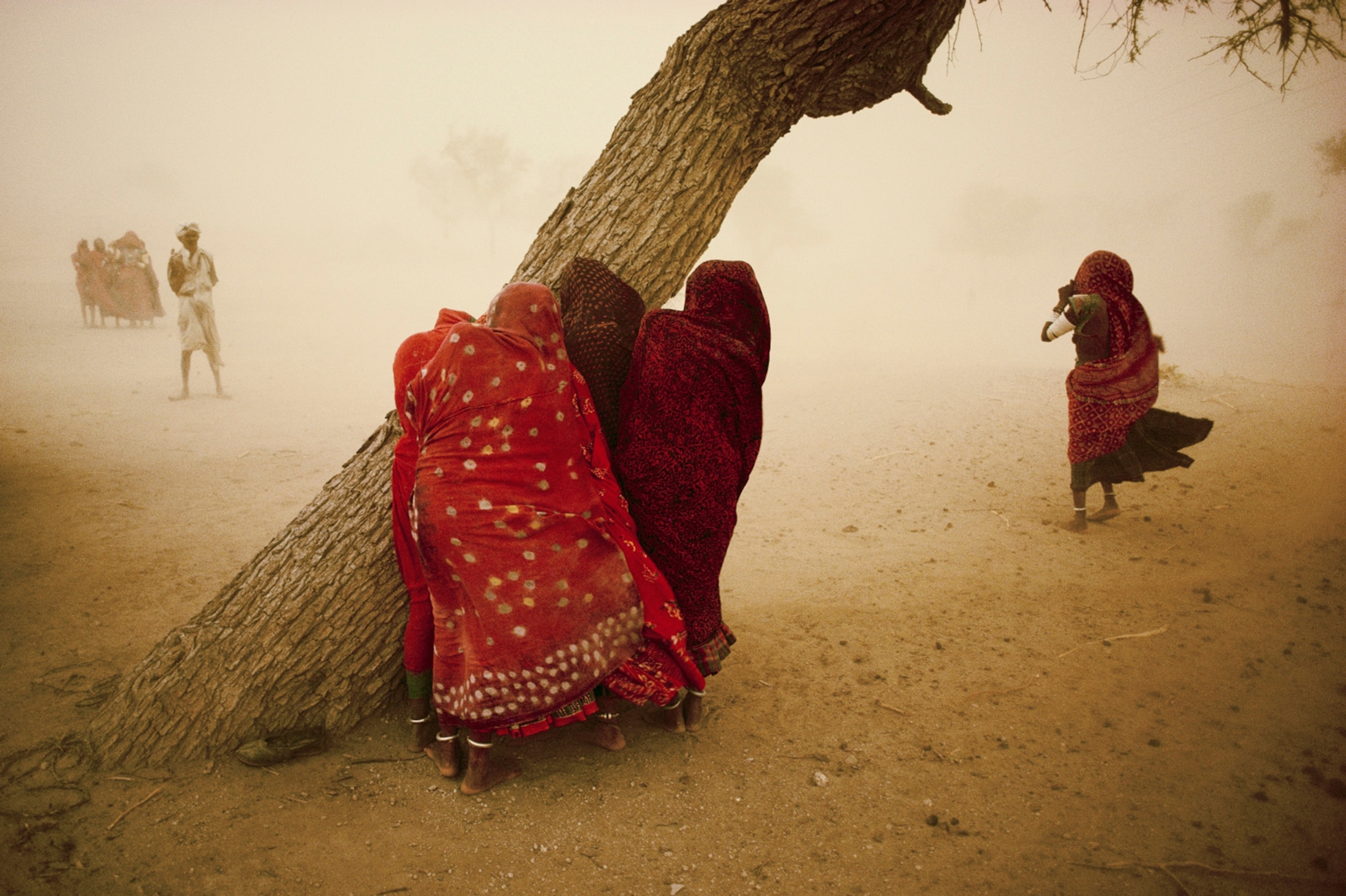 gritty winds sear the plains of Rajasthan