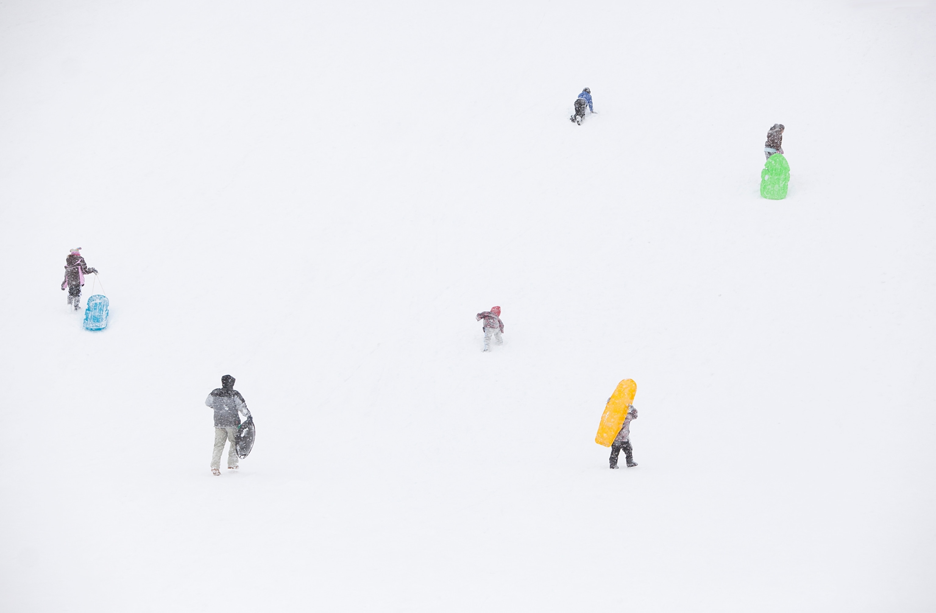 In Flagstaff, Arizona, people sledding during a snowstorm.