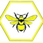 A1 Bee Specialists