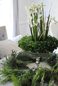 "Add this preserved boxwood country manor wreath to any decor for some elegant, simple style. Gathered on a broad vine base and covered with green preserved boxwood leaves, this 14\" wreath is perfect for your home decor, wedding, event or party! * Indoor use ONLY! * 14\" Diameter"