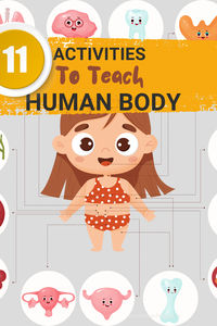 Explore the human body with movement, fine-motor and imaginary activities. These activities make learning about human body parts enjoyable. #humanbody #earlychildhood