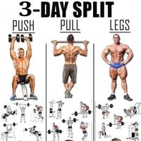 3 Days Split - Push - Pull - Legs