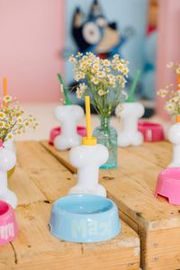 Bluey Birthday Party Ideas | Photo 1 of 46 | Catch My Party