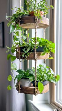 Bring a touch of nature into your home with this beautiful hanging indoor planter setup! Perfect for small spaces, this tiered rope and wood design allows you to display multiple plants in style. Ideal for plant lovers looking to add vibrant greenery to their decor. Save this pin for inspiration on creating your own hanging garden and enhancing your indoor aesthetic with lush foliage!  #IndoorPlants #HomeDecor #HangingPlanter #GreenLiving #PlantDecor #SmallSpaceDecor #UrbanJungle #PlantLover #IndoorGarden #BohoDecor #Houseplants #Greenery #PlantParenthood #DIYDecor