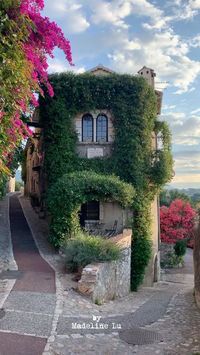 𝐌𝐚𝐝𝐞𝐥𝐢𝐧𝐞 𝐋𝐮 on Instagram: "Provence in summer. 🌿☀️💦🫶☺️ Tag someone you’d love to travel there with. 👆 #roomwithaview #beautifuldestinations #tlpicks #iamatraveler #voyaged #shotoniphone #forbestravelguide #provence #provencefrance #provencealpescotedazur"