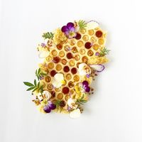 Apricot Honeycomb Panna Cotta- Toasted Honey Marshmallow, Honey Sponge Cake, Honey Vinegar, Bee Pollen, Viola Flowers, Lavender Chamomile & Sweet Cicely