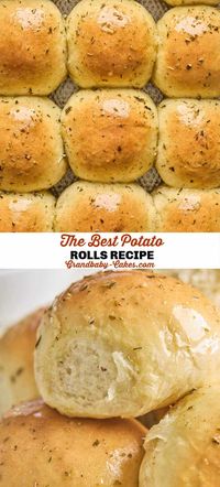 Potato Rolls