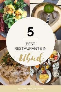 Here are my top 5 restaurants in Ubud Bali that you have to go to! You cannot miss these on your trip to Bali. They offer gluten free and vegan options. You cannot miss these 5 best restaurants in Ubud. Click through to find out which restaurants they are! #glutenfree #ubudbali #ubudbalifood #veganfood #ubud #ubudfood #ubudfoodguide #foodinubud #ubudbalifood #bestfoodubud #ubudrestaurants #ubudbalirestaurant #bali #balifood #travel #foodie #travelblogger