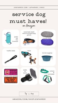 Service Dog Essentials, Service Dog Tasks List, Pots Service Dogs, Service Dog Gear Wall, Psychiatric Service Dog Tasks, Psychiatric Service Dog Gear, Service Dog Training Checklist, Service Dog Vest Ideas, Service Dog Gear For School