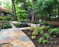 Learn More about Landscaping