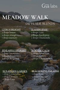 Take a Stroll Through the Meadow: Discover Tranquil Diffuser Blends for Serene Moments 🌾🌸✨  #GyaLabs #UpliftYourEveryday #essentialoils #spring #summerseason #amazing #soulwisdom #Junevibes #summer  #summervibes #abundance #abundancemindset #miracles #blessings #inspiration #NaturalCare #HealthyLiving #EssentialOils #woman