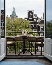 #OriginalAmsterdamLuxury #deleuropeams #view #balcony #balconyview #canal #canalview #canalhouse #amsterdam #iamsterdam #travelamsterdam #amsterdamtravel #amsterdamhotel #visitamsterdam #amsterdamgram #travelgram #instatravel #travelinspiration #luxury #luxurytravel #luxuryhotel