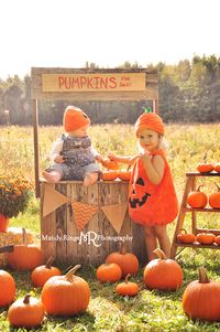 Pumpkin Stand styled mini session // Outdoors with a prairie backdrop, a wooden pumpkin stand, real pumpkins, mums, baskets, a ladder, and a mini wheelbarrow // Leroy Oakes Forest Preserve - St Charles, IL // by Mandy Ringe Photography