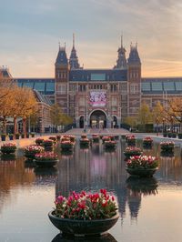 5 Ways to Experience Spring Blooms in Amsterdam