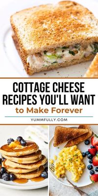 Discover a world of creamy delight with Cottage Cheese Recipes. From fluffy pancakes to luscious cheesecakes, these recipes prove cottage cheese is a versatile and healthy alternative to its higher calorie dairy counterparts! So if eating healthy is your thing, dig in!