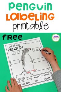 This free Penguin Labeling printable helps young kids learn some of the basic vocabulary and parts of a penguin. It’s also a great introduction to the skill of labeling in Pre-K and Kindergarten.