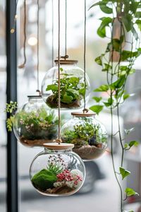 Discover enchanting hanging terrarium ideas that transform any room into a green oasis. Elevate your indoor space with unique, dangling greenery!