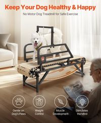 Secure Exercise for Health: Our non-electric dog treadmill operates without power, allowing your pet to run and drive the belt, providing a safe and comfortable workout experience. This promotes fat burning, muscle building, and mental stimulation for a healthier, happier dog. Engage with your pet during initial use by guiding them with treats.

#vevor #dogs #dogtraining #happydog