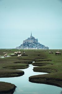 🇫🇷 Mont Saint-Michel Abbey, Normandy, France #montsaintmichel #france #travelphotography