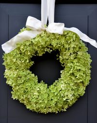 Wreath made with Hydrangea Annabelle