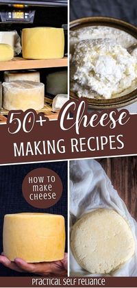 Embark on your cheesemaking journey with our selection of 50+ easy cheese making recipes. Ideal for both newbies and seasoned cheesemakers, these recipes demystify the process, covering everything from soft cheeses to hard cheeses. Learn how to make cheese at home and embrace the satisfaction of creating your own dairy delights. Find more easy whole food recipes, DIY homestead projects, and homestead survival at practicalselfreliance.com.