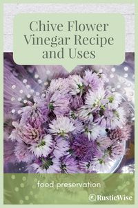 If you have a chive plant growing in your garden or on your windowsill, save those pinkish-purple chive flowers.😋Here’s an easy and tasty chive blossom vinegar recipe using just two ingredients: fresh chive flowers and vinegar. I’ll also show you two methods to make an herbal vinegar infusion. The finished homemade vinegar has a mild onion flavor with a gorgeous pinkish hue that will dress up any boring salad.  #recipe #chives #chiveblossom #vinegar | chive flower vinegarette | via RusticWise