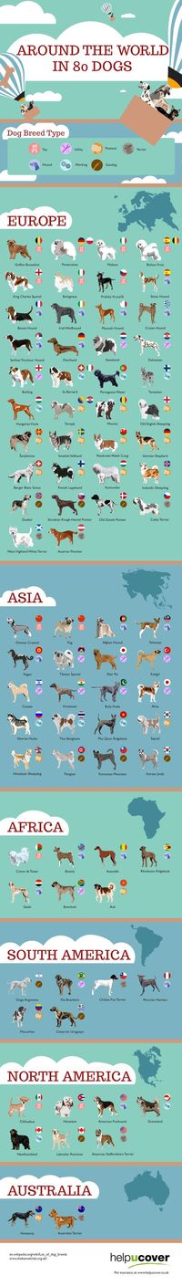 Around the World in 80 Dogs #Dogs #Pets #infographic #doginfographic