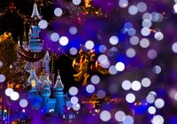 Tree Bokeh Christmas Disney Paris photo Tom Bricker