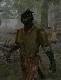 Enhanced Beast Races alternate male Argonians at Oblivion Nexus - mods and community