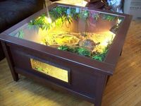 Turtle coffee table terrarium enclosure