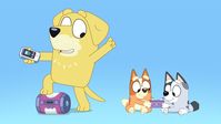 How to Play: Pass the Parcel (Lucky's Dad's Rules!) - Bluey Official Website