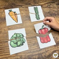 Gardening and growing Fruits and Vegetables Activity Pack