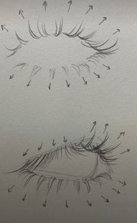 eyelashes.