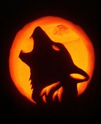 Wolf Pumpkin by Jenya Campbell, via Flickr