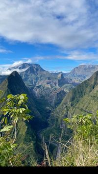 Reunion island 🦎