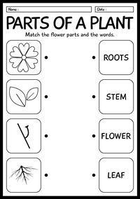 Explore our 1st grade life science worksheets with engaging activities and colorful illustrations to help young learners discover the wonders of the natural world. Access a wide range of printable resources to make learning about plants, animals, and the environment fun and educational for your students. #ScienceForKids #1stGradeLearning #STEMeducation #1stgradelife