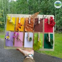 NURDAN on Instagram: “🍂🌸🌼🌿NATURE COLOR HUNT . DO YOU REMEMBER OUR COLOR HUNT BOARD? #tbt If you want to have a fun nature walk, you can prepare a quick color…”