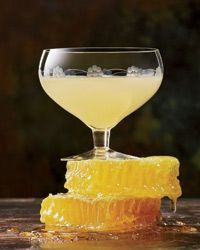 Cocktail recipe: Bee’s Knees, a nod to our pollinators and the wonderful sweet that they provide us! Share the buzz!