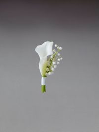 Interflora Vera Wang Wedding Collection - Romantic - White Calla Lily Buttonhole