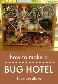 bug hotel