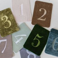 Velvet Table Numbers — Velvet Raptor