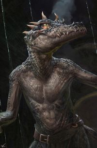 ArtStation - Kobold