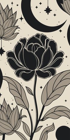 a black and white flower with stars in the background