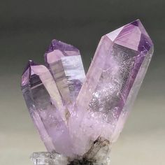 High quality super aesthetic Vera Cruz Amethyst spray with incredibly impressive colour, lustre clarity and structure, from the Royal Purple Pocket mined in 2020, some of the best colour came from this pocket. Stunning Amethyst phantoms and stacked gas bubbles phantoms too, so good. From Piedra Parada, Vera Cruz, Mexico. Weight 7.3 grams Dimensions 33mm X 25mm X 12mm Amethyst Crystal Aesthetic, Crystals Amethyst, Crystal Amethyst, Vera Cruz, Crystal Aesthetic, Royal Aesthetic, Amethyst Crystals, Purple Crystal, Purple Crystals