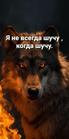 a wolf staring at the camera in front of a fire with an inscription on it