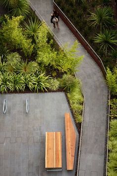 two wooden benches sitting next to each other on a cement walkway surrounded by greenery