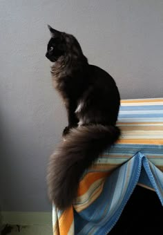 a black cat sitting on top of a bed next to a wall with a blue and yellow blanket